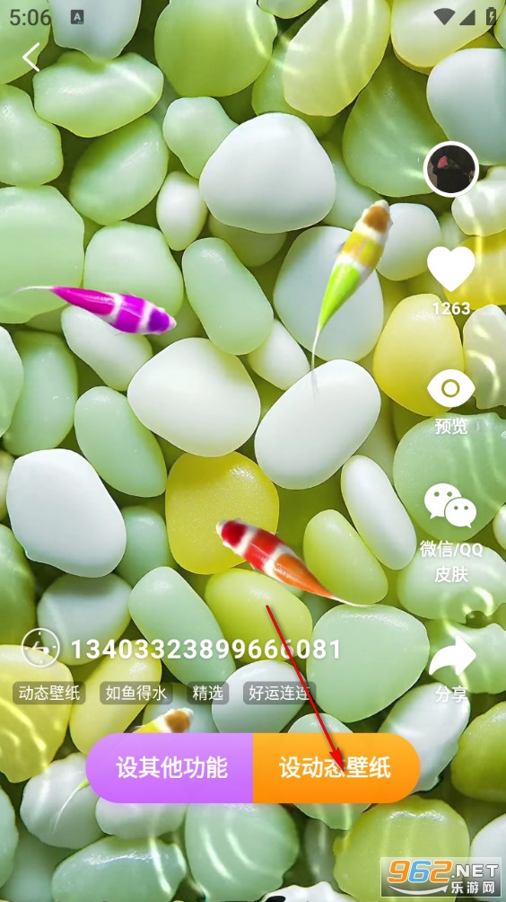 ���������ֽ�ֻ���