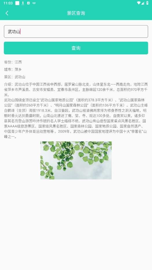 ���鹤����app