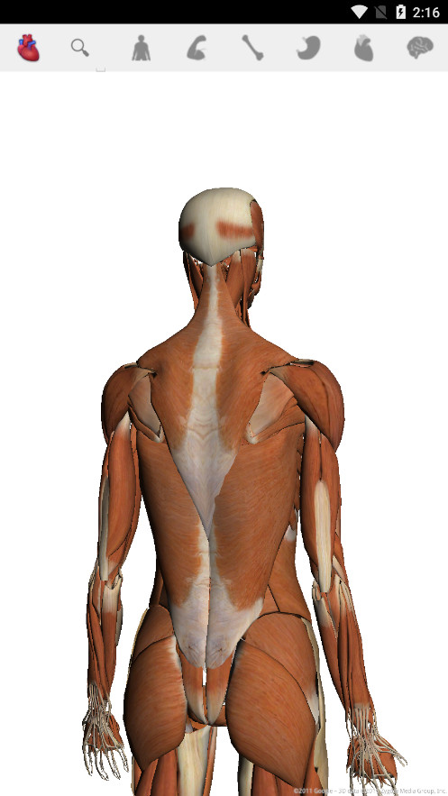 Body�ֻ���v1.2 ���°��ͼ3