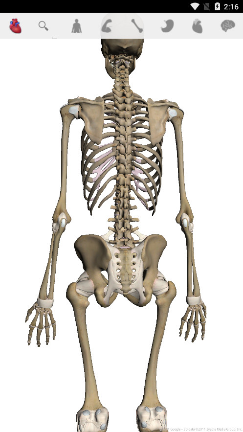 Body�ֻ���v1.2 ���°��ͼ4