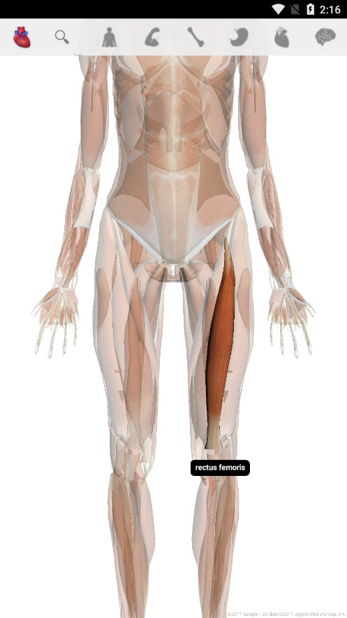 Body�ֻ���v1.2 ���°��ͼ8