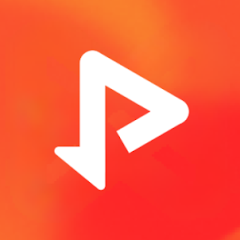 VidTube�����߼���