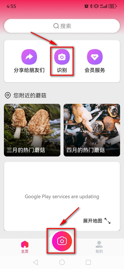 Picture Mushroomרҵ�ƽ��