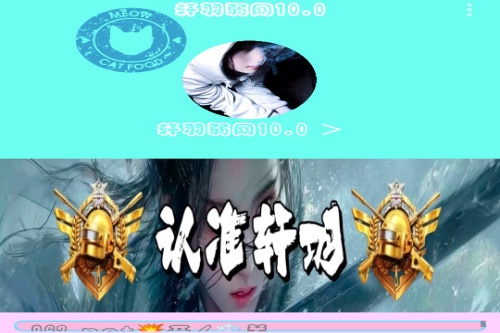 轩羽弱网 轩羽弱网