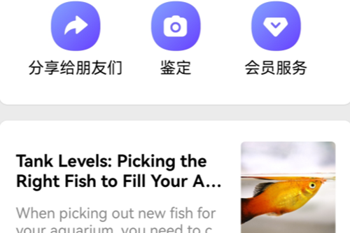 Picture Fish�����߼���