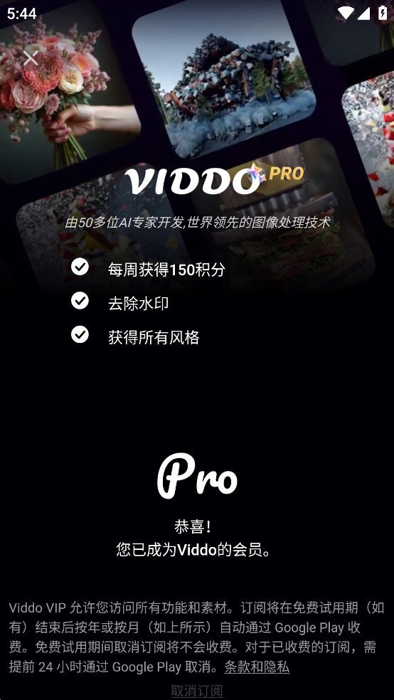 Viddo�����˻�Ա������