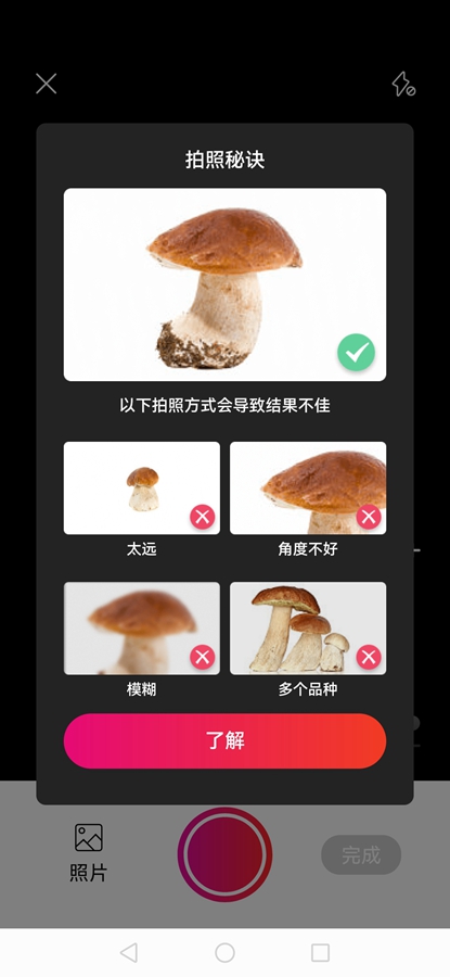 Picture Mushroomרҵ�ƽ���ͼ5