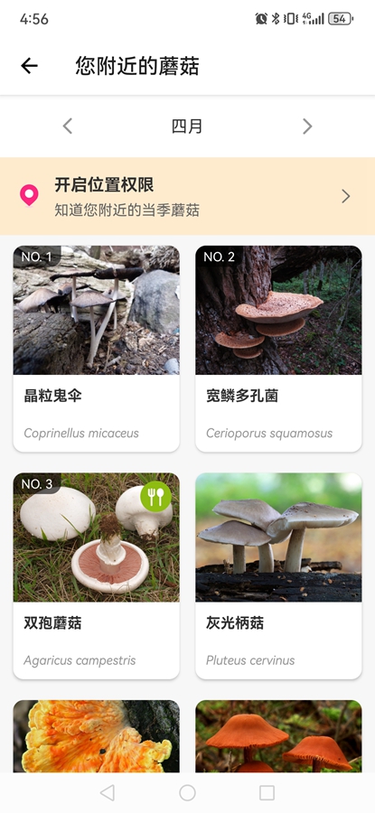 Picture Mushroomרҵ�ƽ���ͼ7