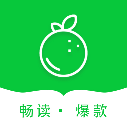 ������С˵app