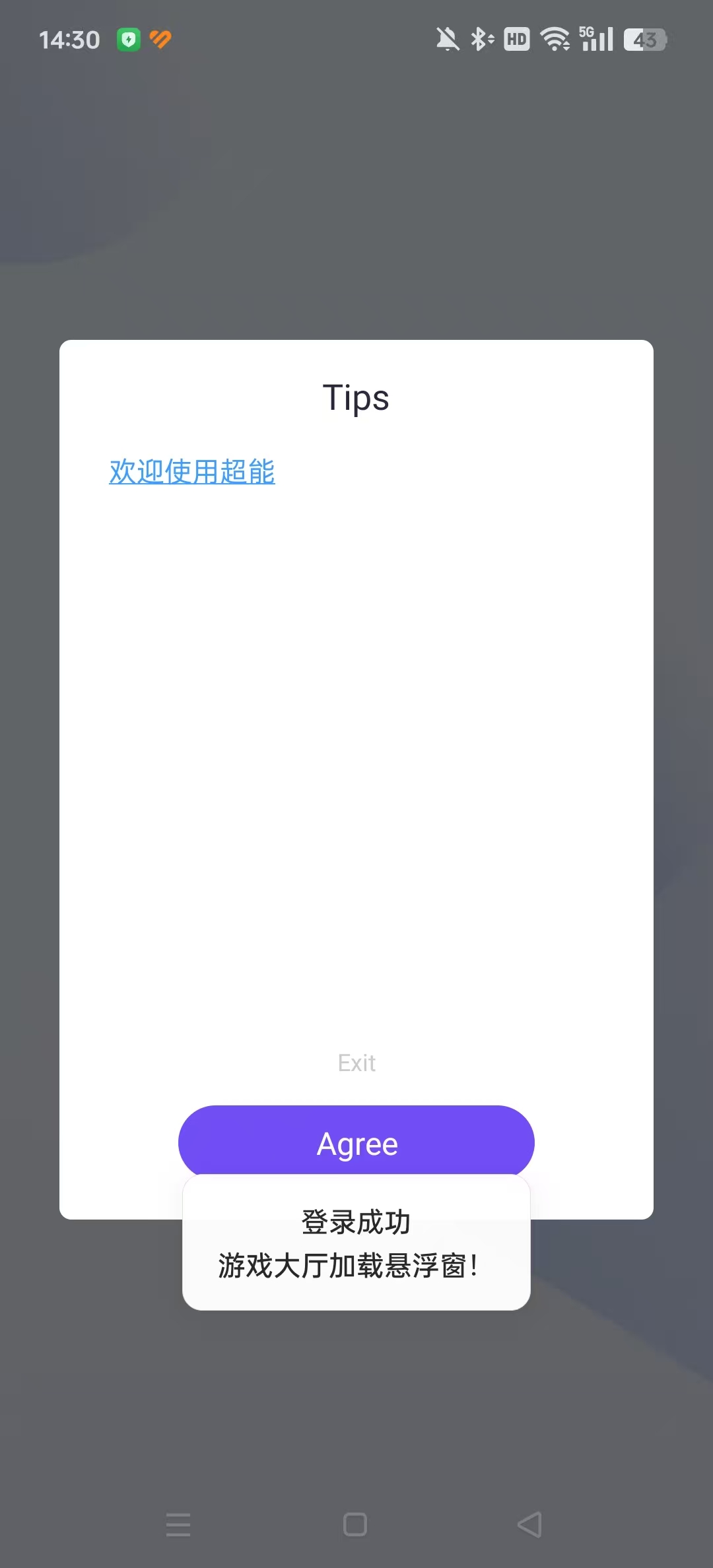 ��ƽ��Ӣ����ֱװ������ͼ1