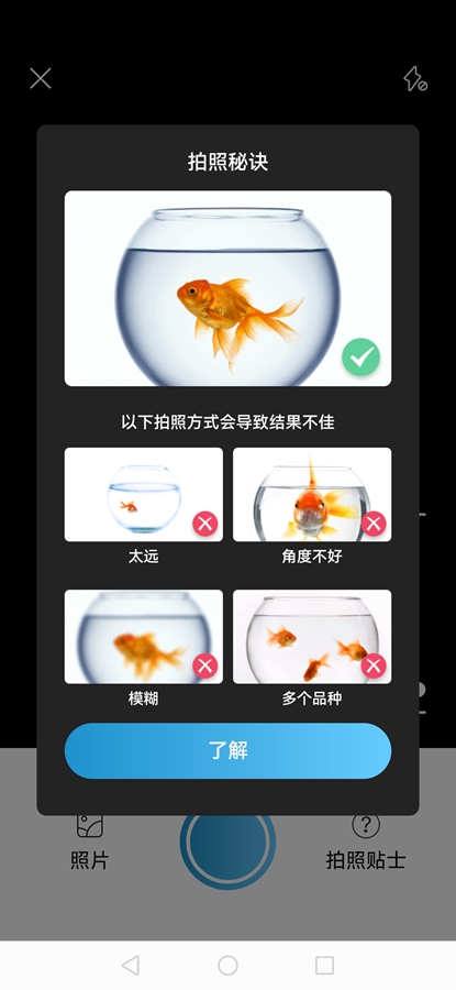 Picture Fish�����߼���v2.4.23��ͼ2