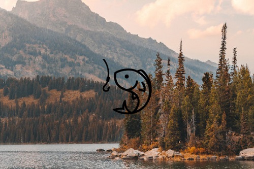 ��ʱ����app