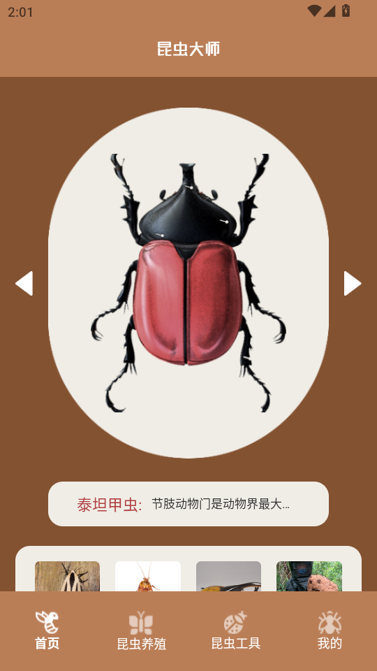 ������app���°��ͼ0