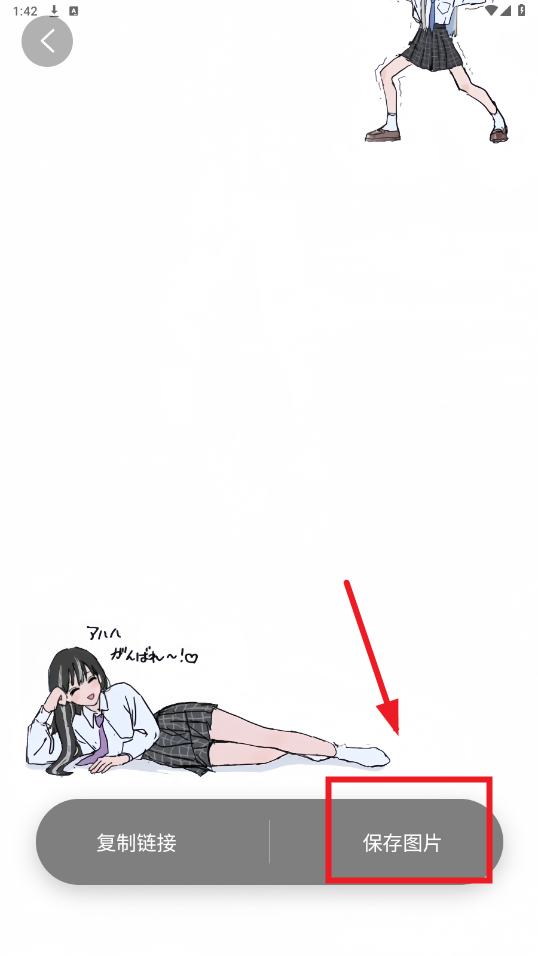凤壁纸破解版 凤壁纸破解版