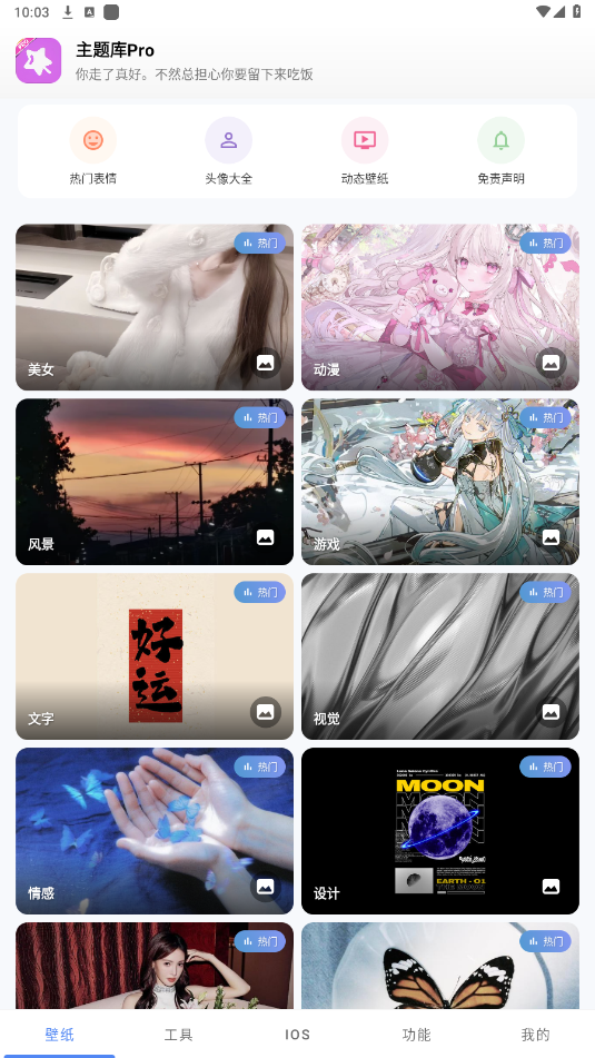主题库pro最新版本截图3