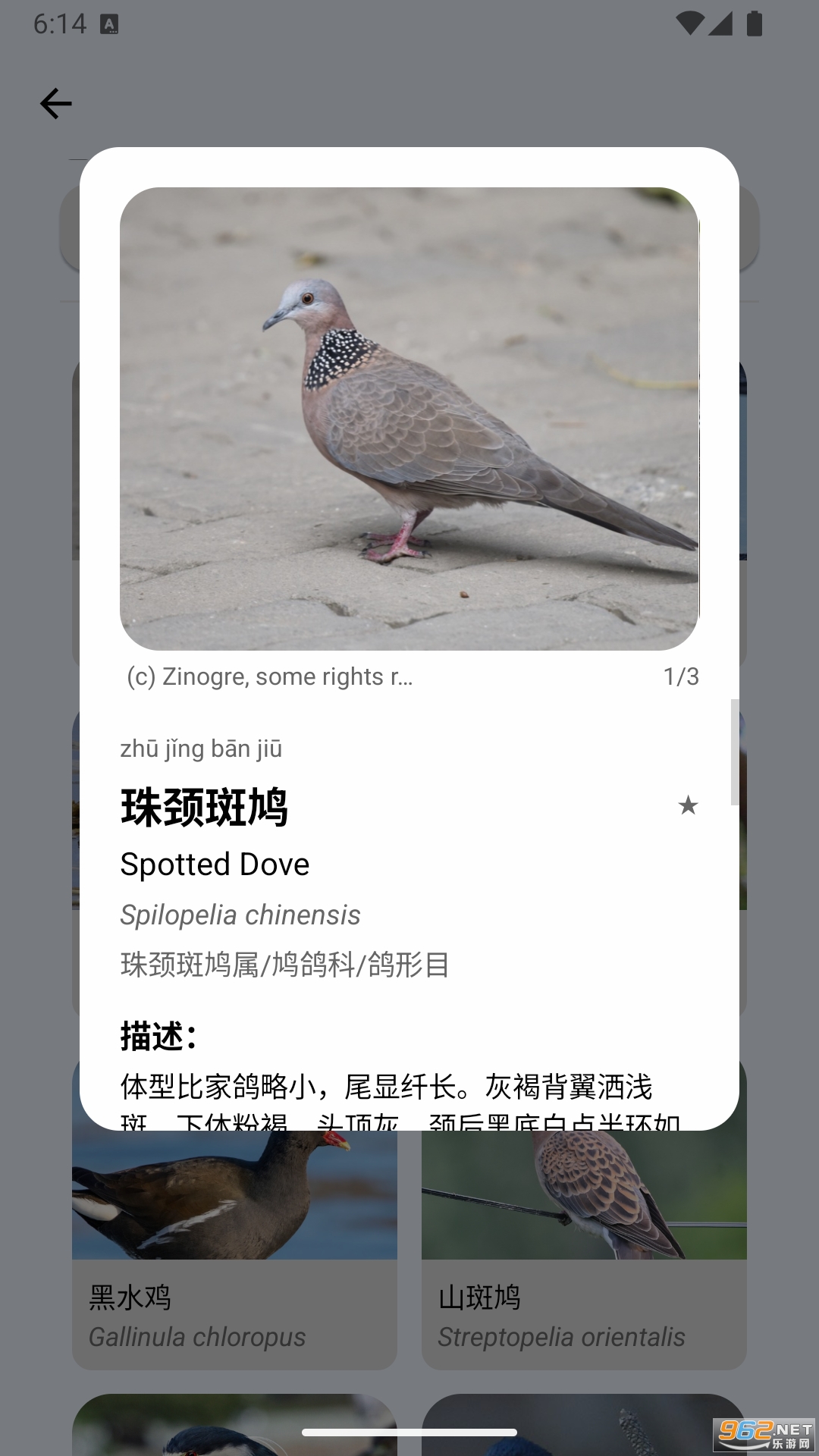 �����app�ٷ���v1.11.2��ͼ4
