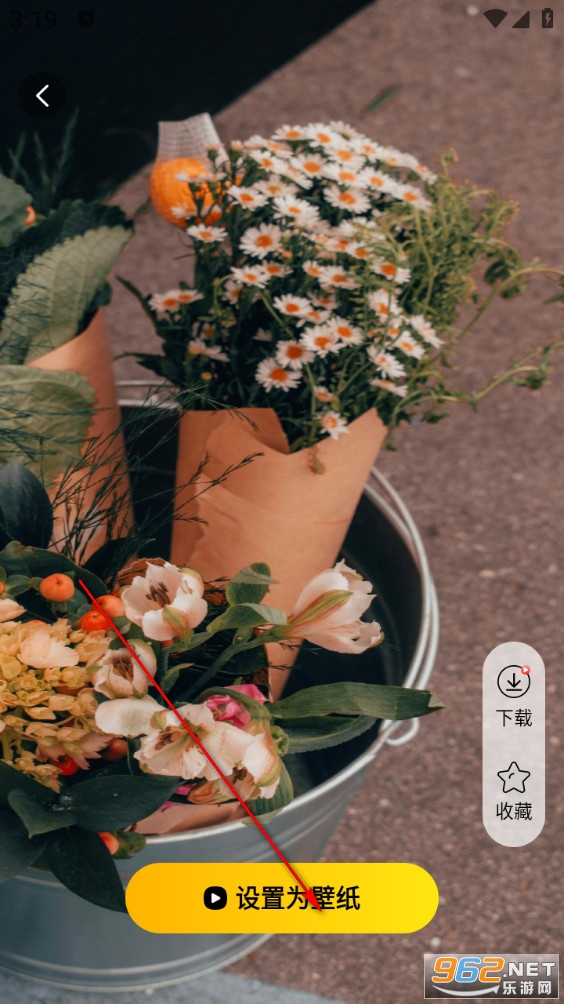 ���������ֽapp