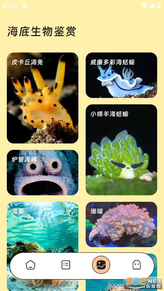 红火流量管家app截图2
