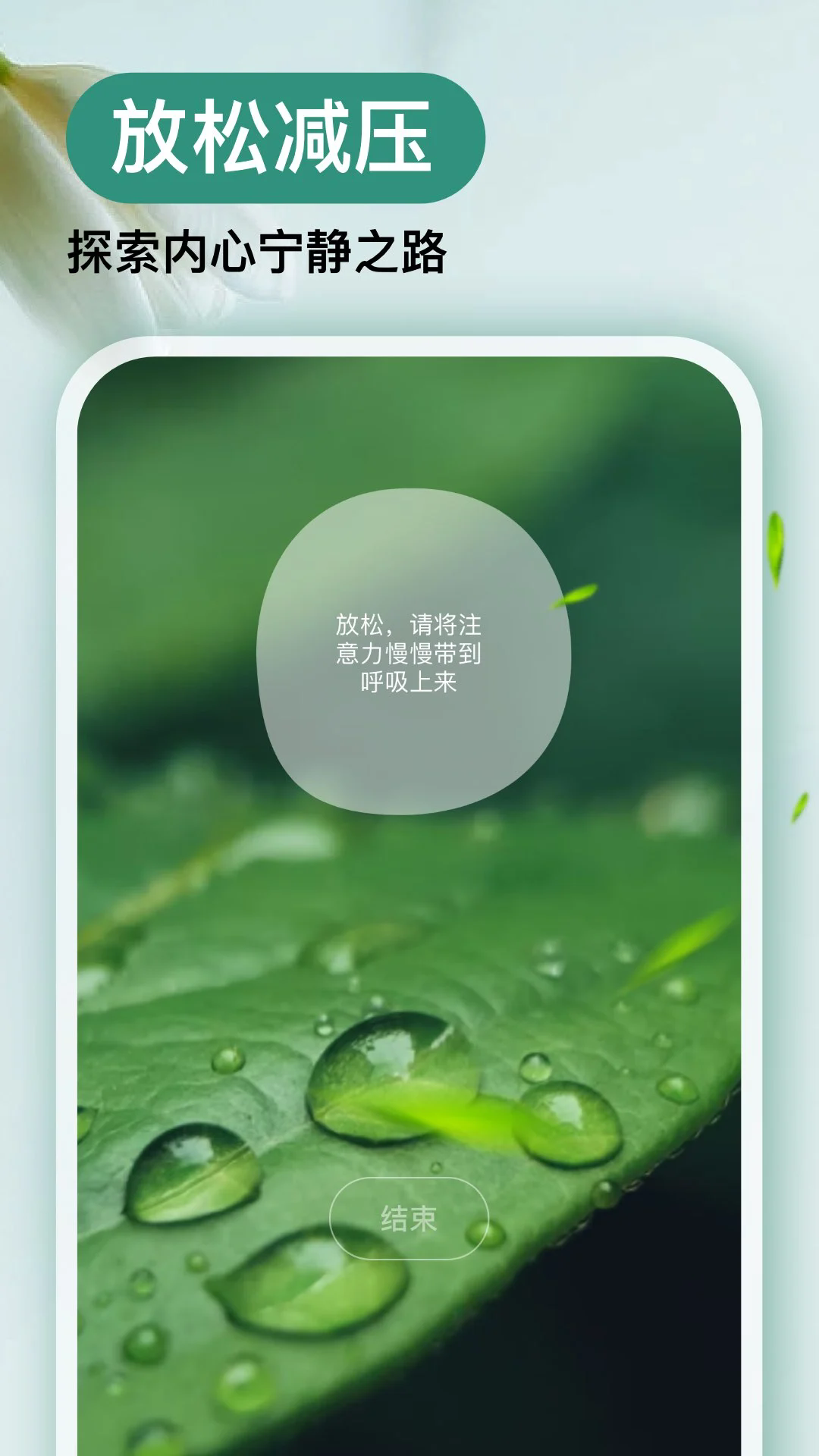 Nowڤ�밲׿��v5.2.8��ͼ3