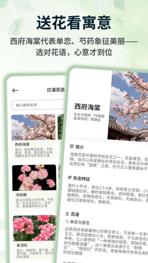 �������app��ͼ1