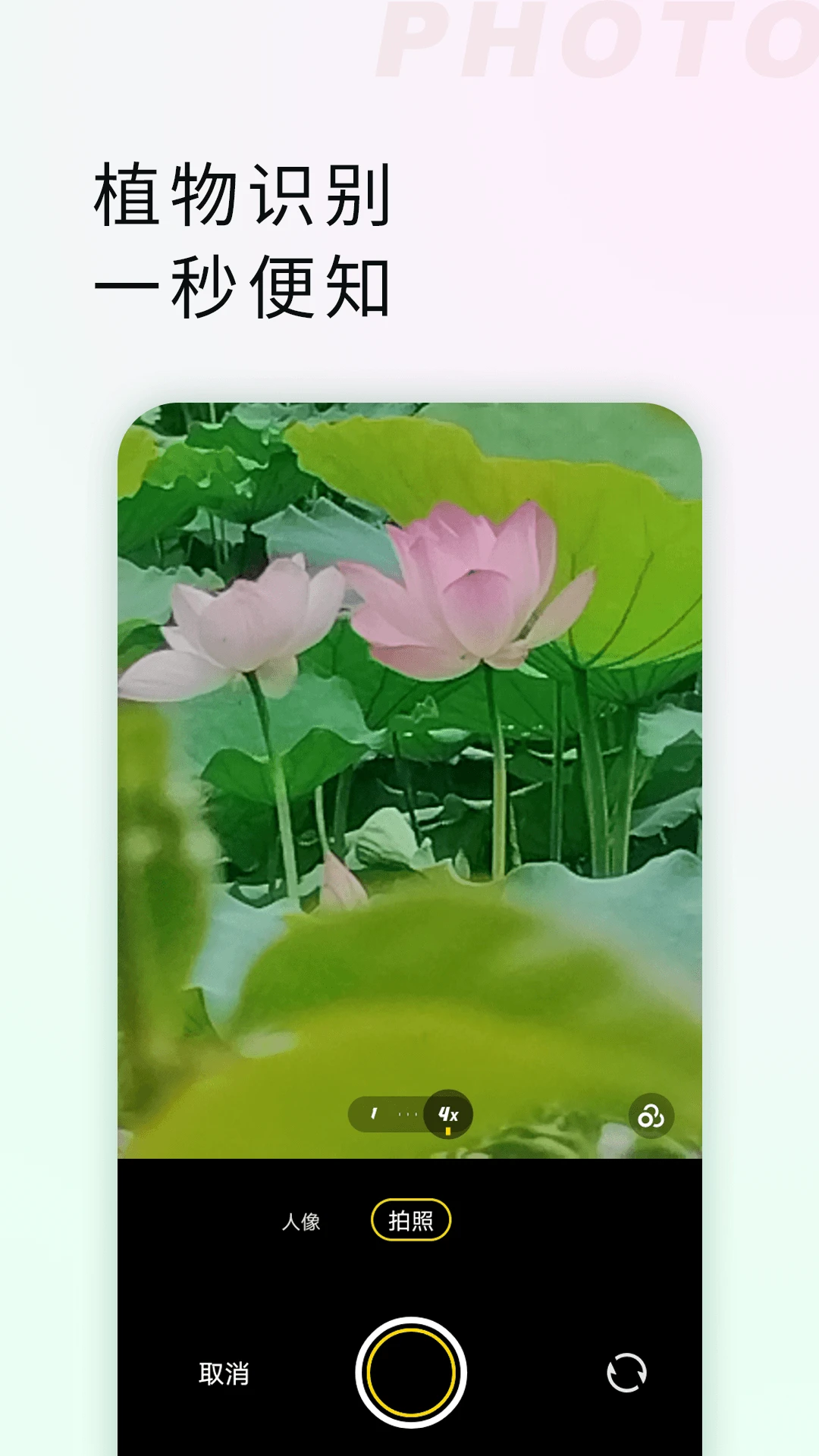 拍照识物全能王app截图2