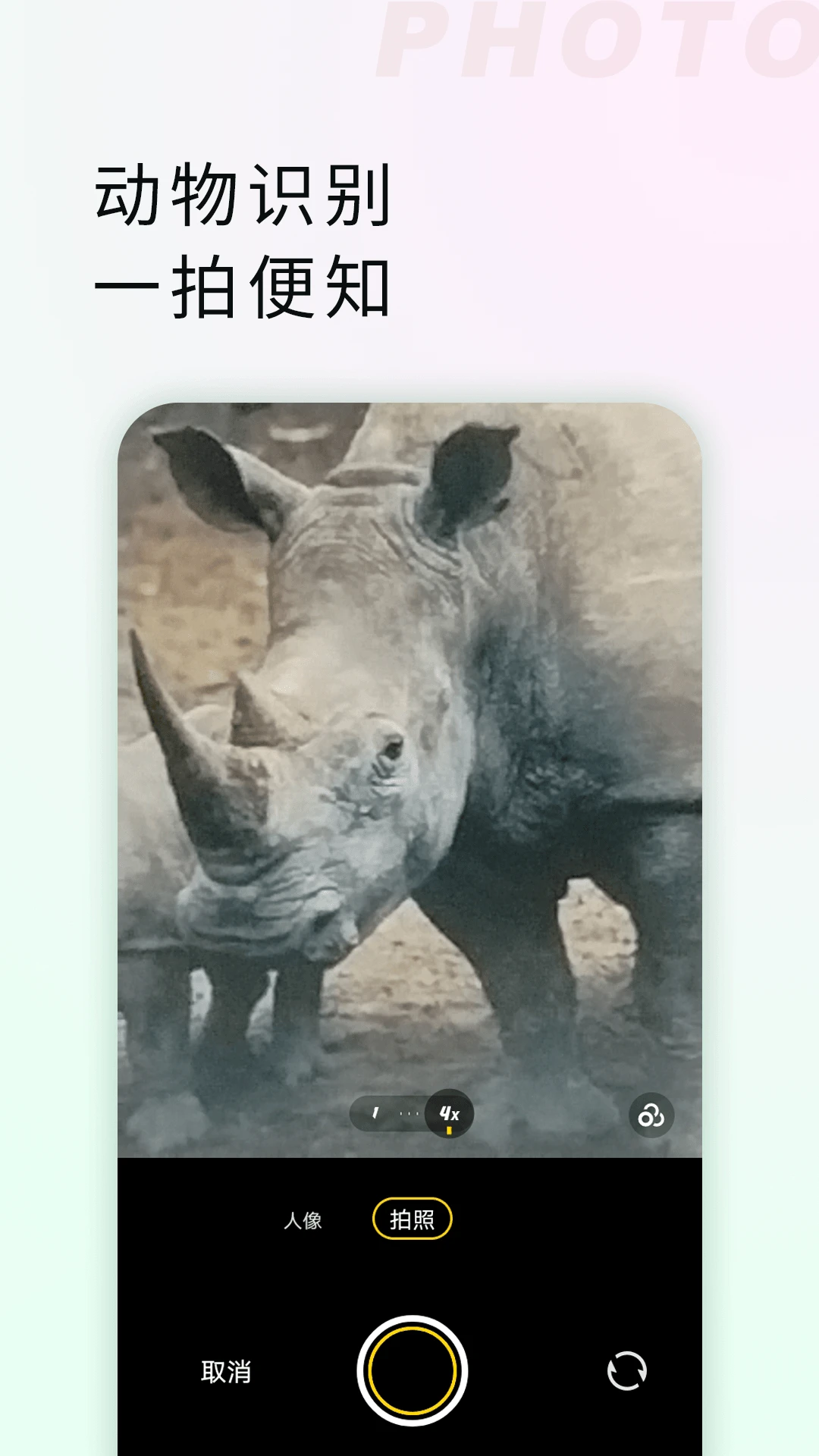 拍照识物全能王app截图3
