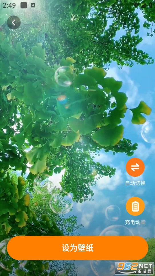 甜橙壁纸安卓版截图3