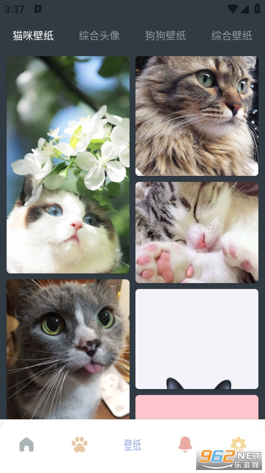 我家猫舍安卓版截图1