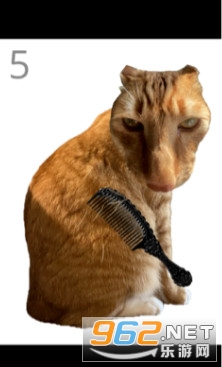 ��è��ë��Ϸ