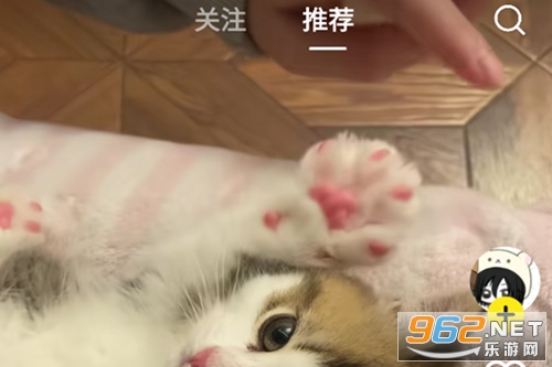 ���ٷ����°汾