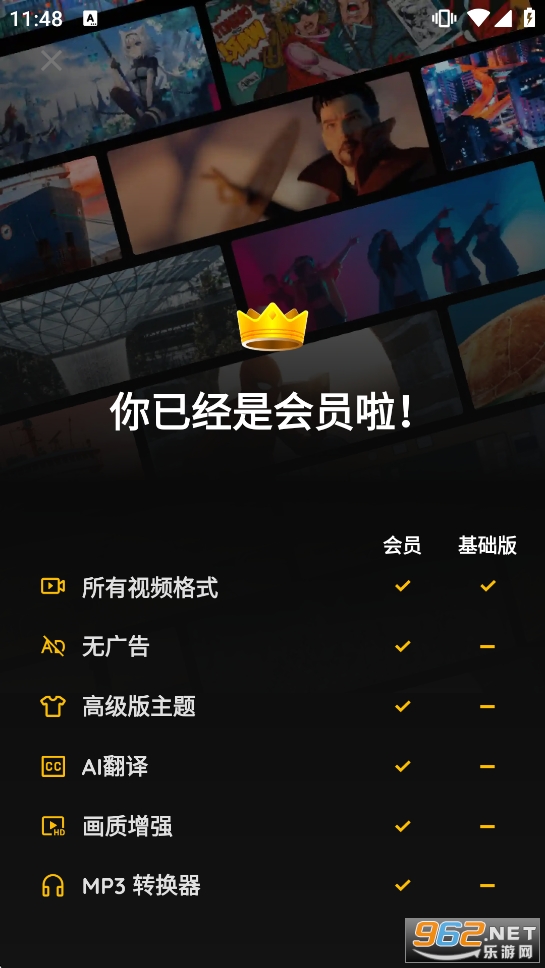 XPlayer破解版最好用的版本截图7