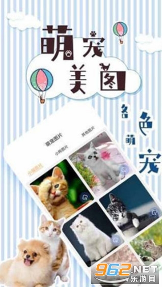 人猫翻译交流器官方版 人猫翻译交流器官方版