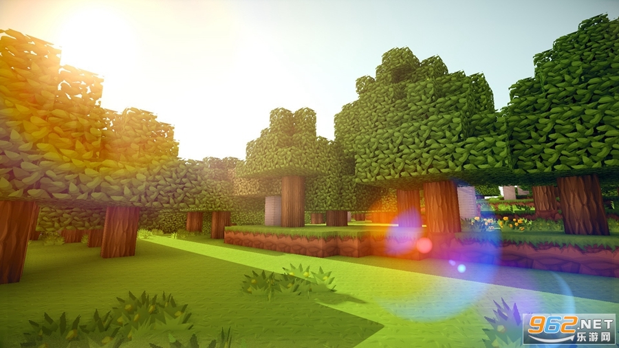 �ҵ�����minecraft�����������ͼ4