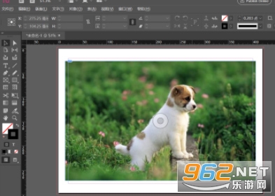 Adobe InDesign�ƽ��