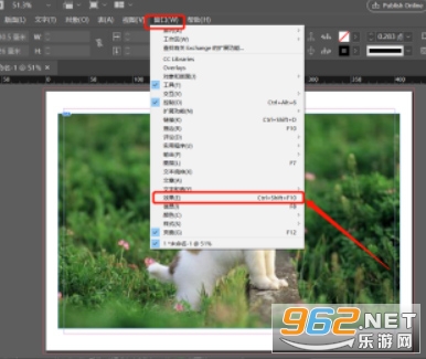 Adobe InDesign�ƽ��