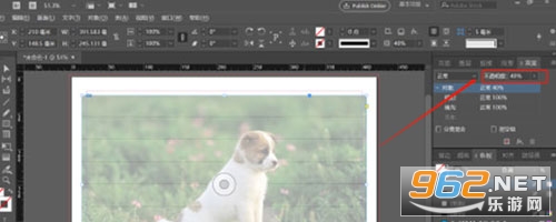Adobe InDesign�ƽ��
