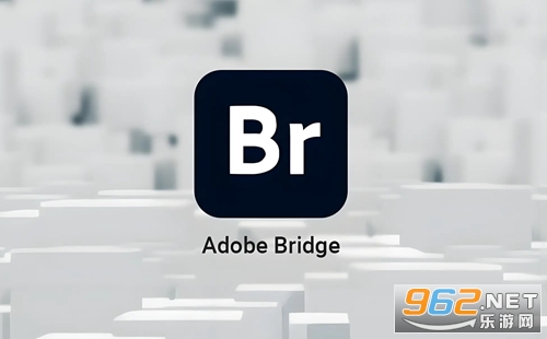 Adobe Bridge2025中文版 Adobe Bridge2025中文版
