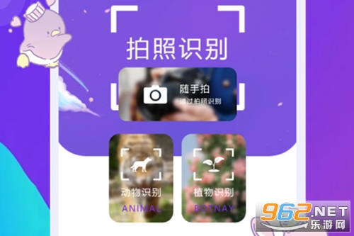 ��Сapp