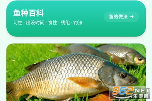 ���Ƴ���app