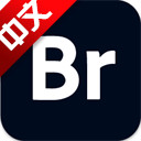 Adobe Bridge2025中文版