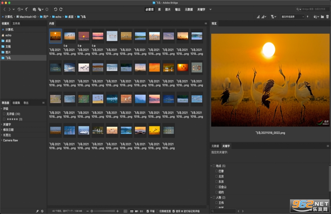 Adobe Bridge2025���İ�v15.1.1.729��ͼ2