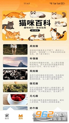 暖暖猫眯手机版 暖暖猫眯手机版