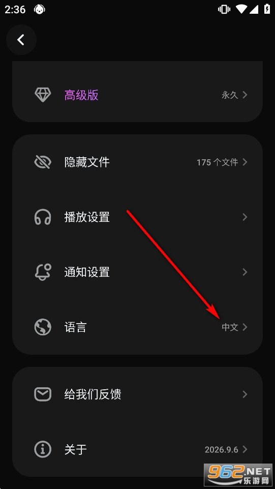 Lark Player汉化版高级版 Lark Player汉化版高级版