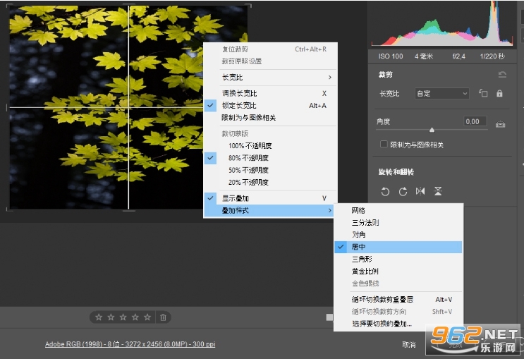Adobe Camera Raw 18中文版 Adobe Camera Raw 18中文版