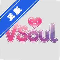 vsoul��������