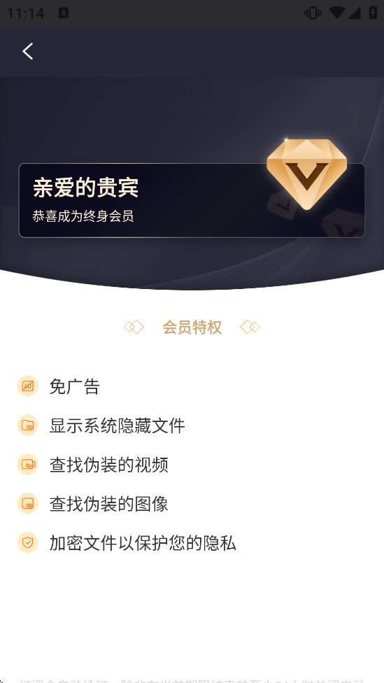 EX�ļ����������vip��v1.6.0.4 ���°��ͼ4