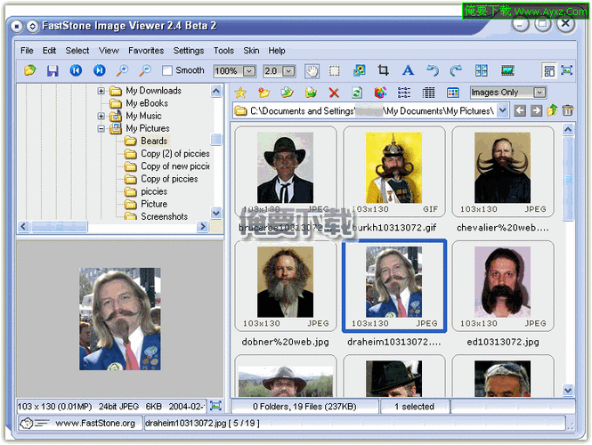 FastStone Image Viewer ���ģʽ