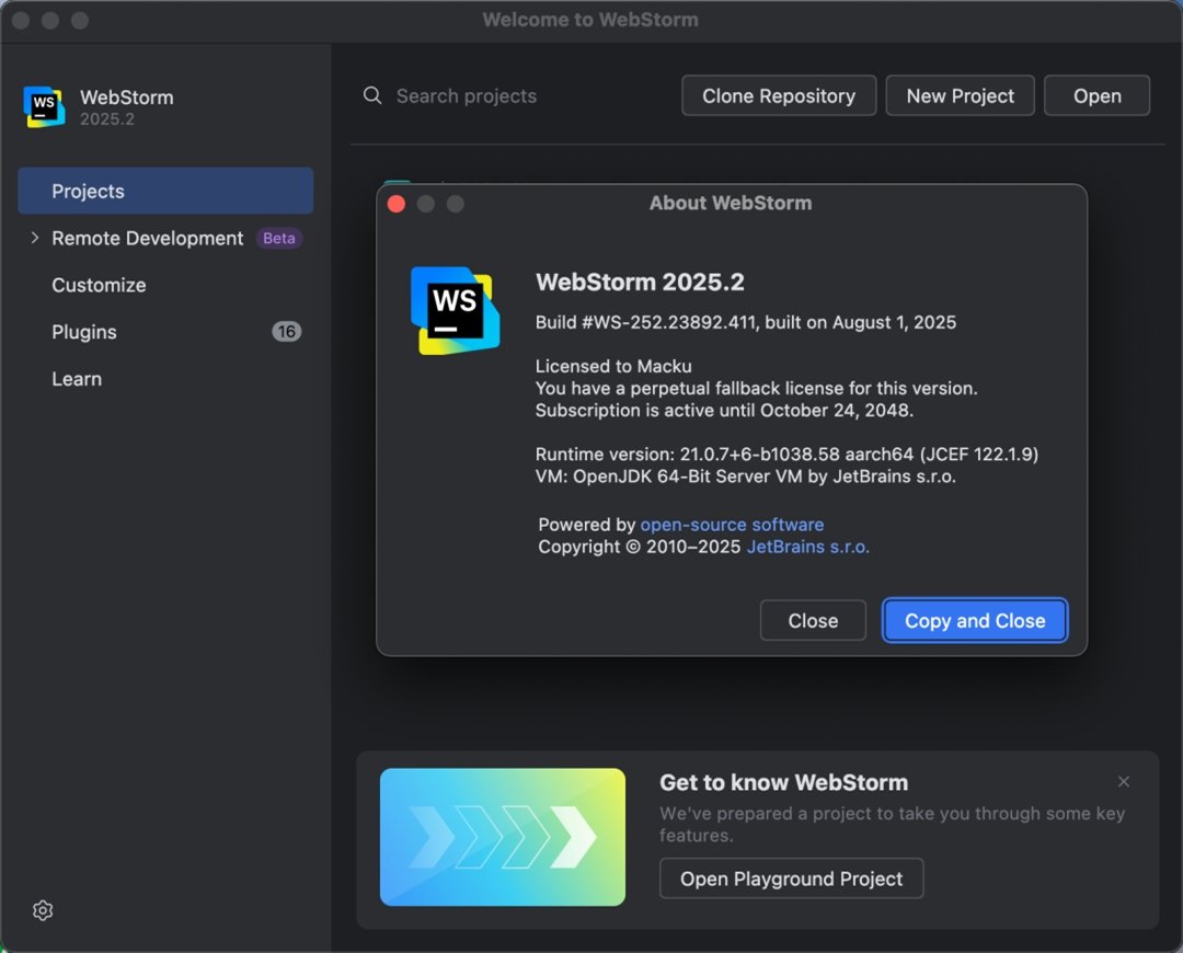 JetBrains WebStorm2025�����ƽ��v2025.3.1.1��ͼ2