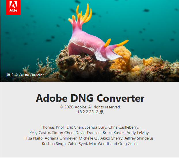 Adobe DNG Converter2026���°�dngͼƬת������v18.2��ͼ0