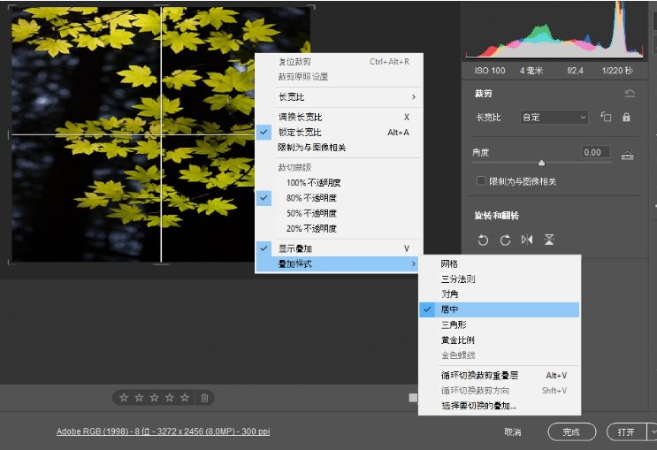 Adobe Camera Raw 18���İ�v18.2.1��ͼ0